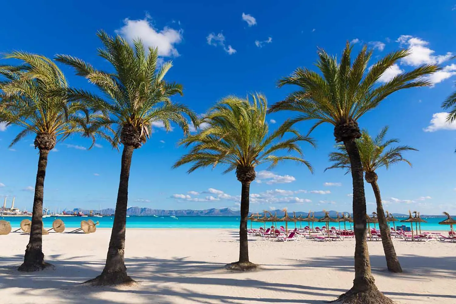 Apartamento Arcoiris, Con Piscina Y Junto A Playa De Alcudia 0*, 알쿠디아 스페인